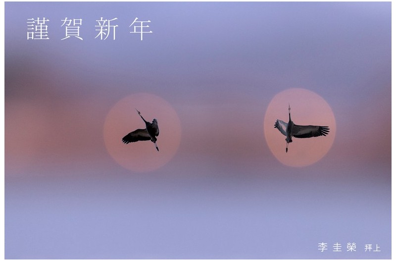 새해 복많이 받으세요