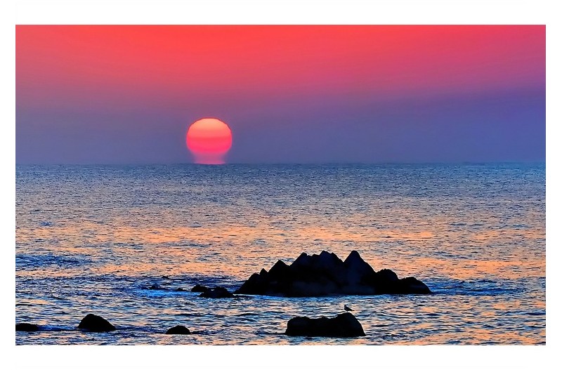 임인년 새해 희망의 일출