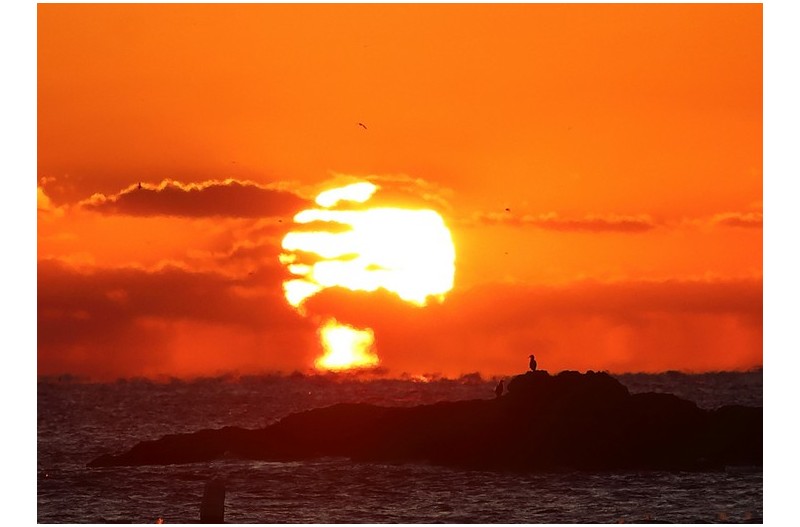 임인년 1월 1일 일출