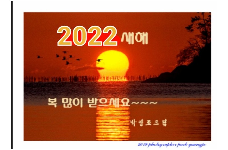 새해복많이  받으세요