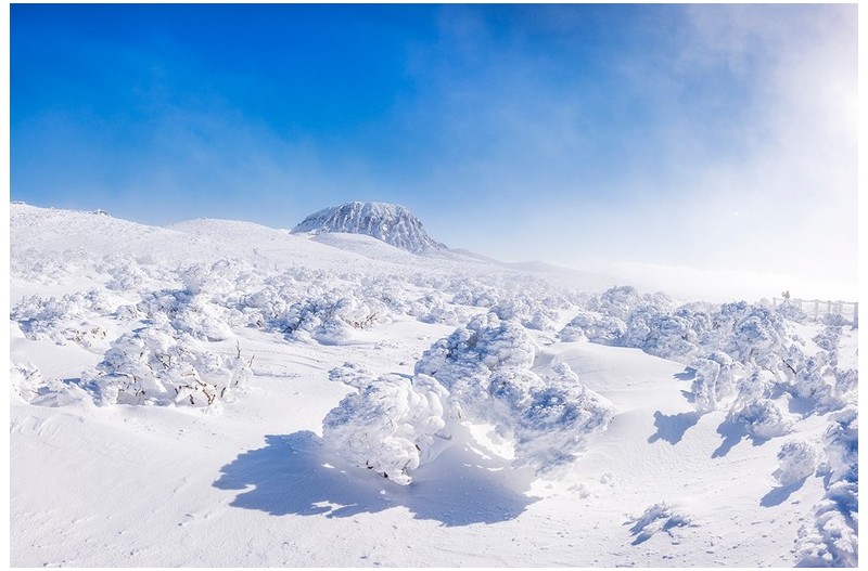 한라산 눈구경