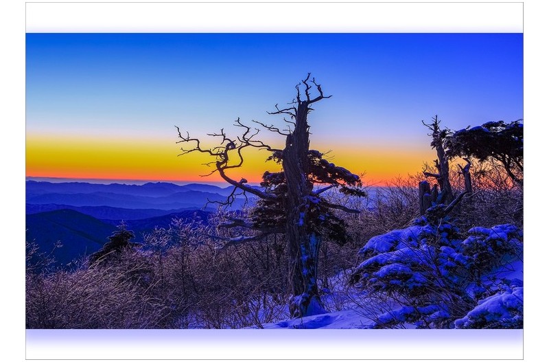 이몸이 죽고죽어