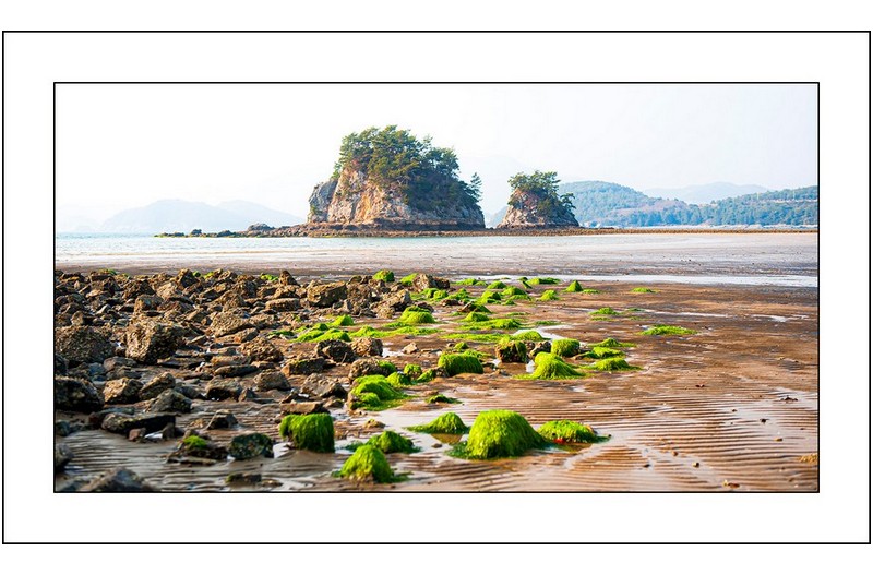 파래해변과 모래톱,,