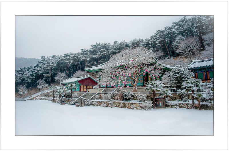 산사의 겨울,,,