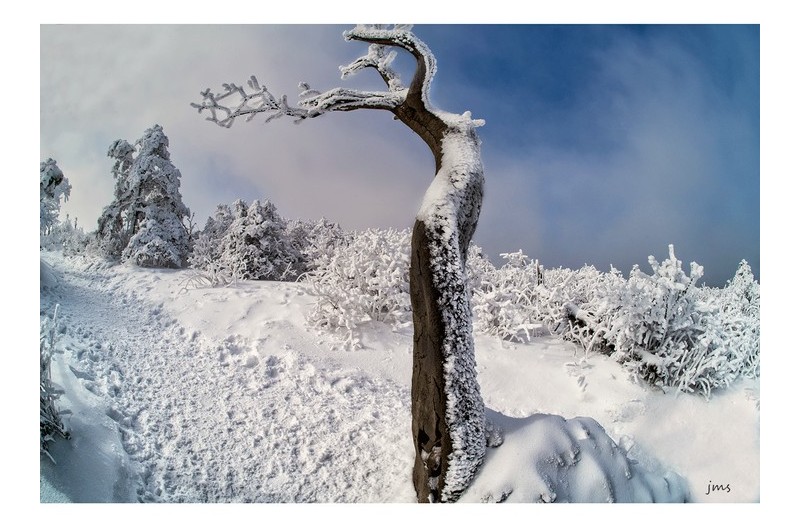 미스유니버스 태백산