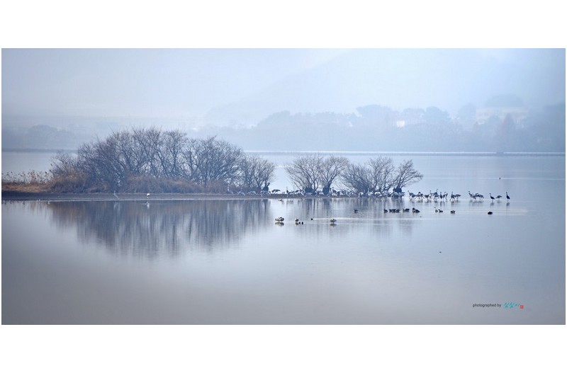 #20220109 주남저수지...