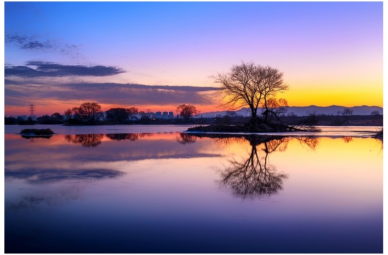 철새의 찬조 출연이 없던 날