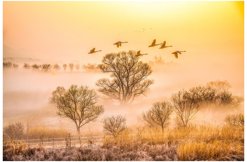 어디로 가는지...