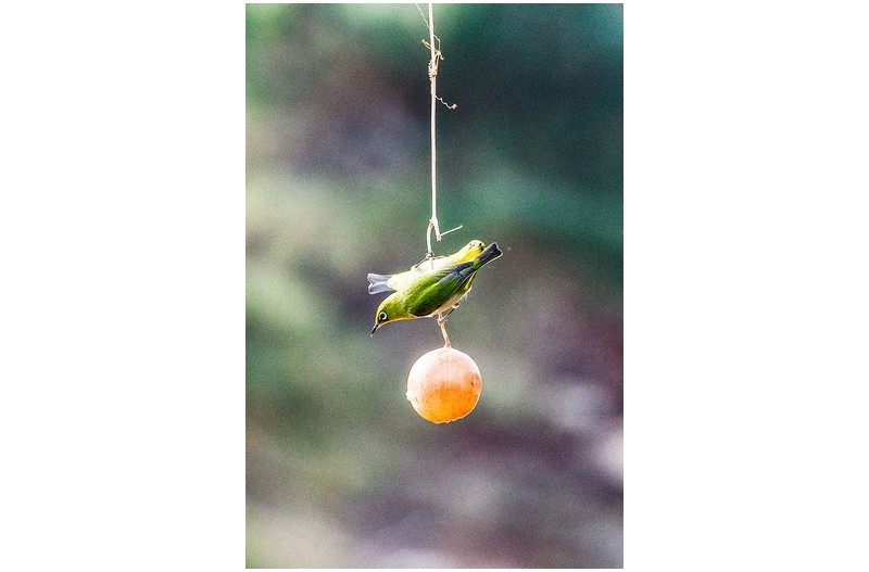 부부는 OO同體 랍니다.