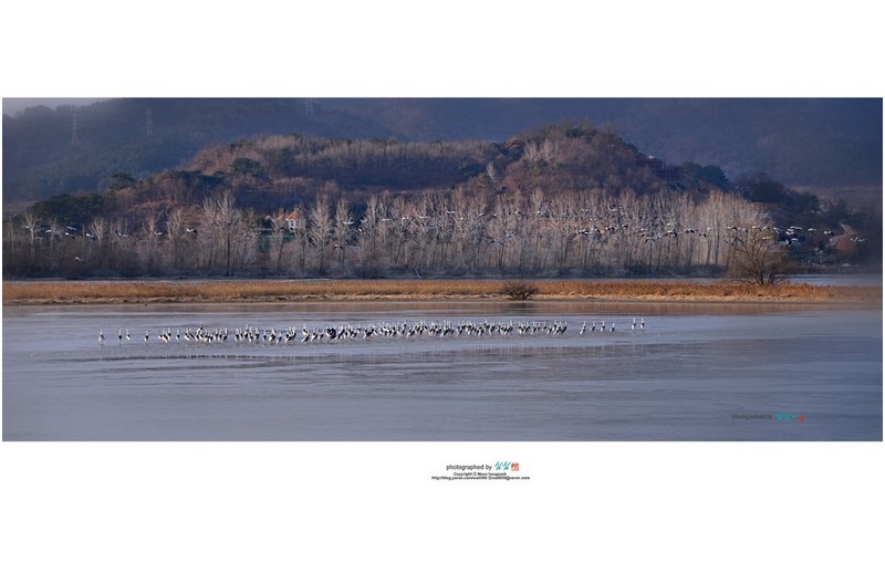 #20220115-[주남저수지] 이른아침에...