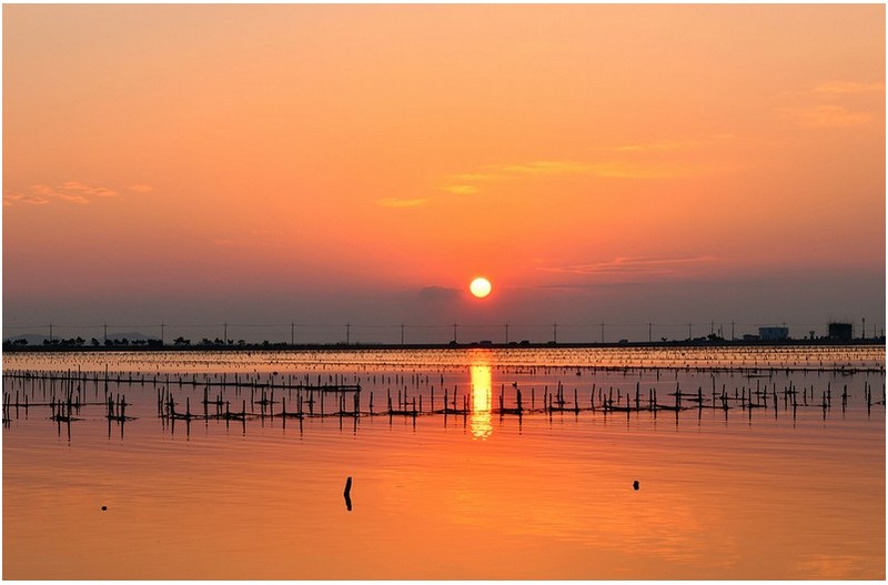 양식장 일출