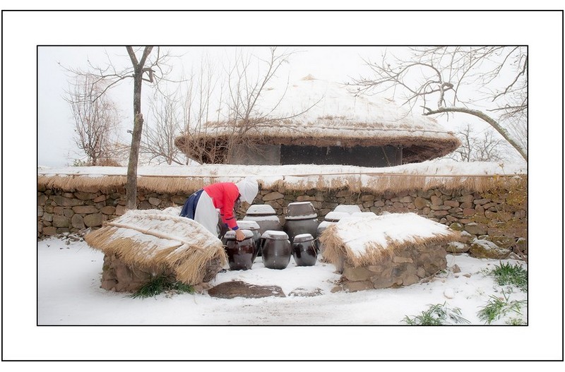 논오던날에 장독대,,,