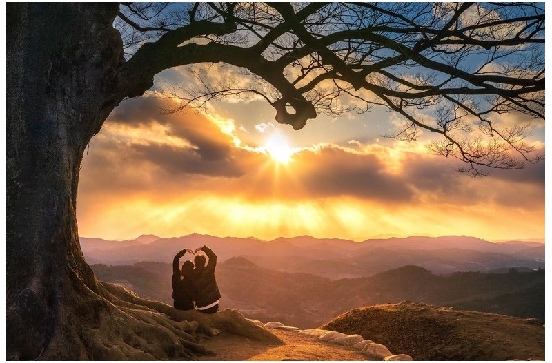 성흥산성 사랑의 나무