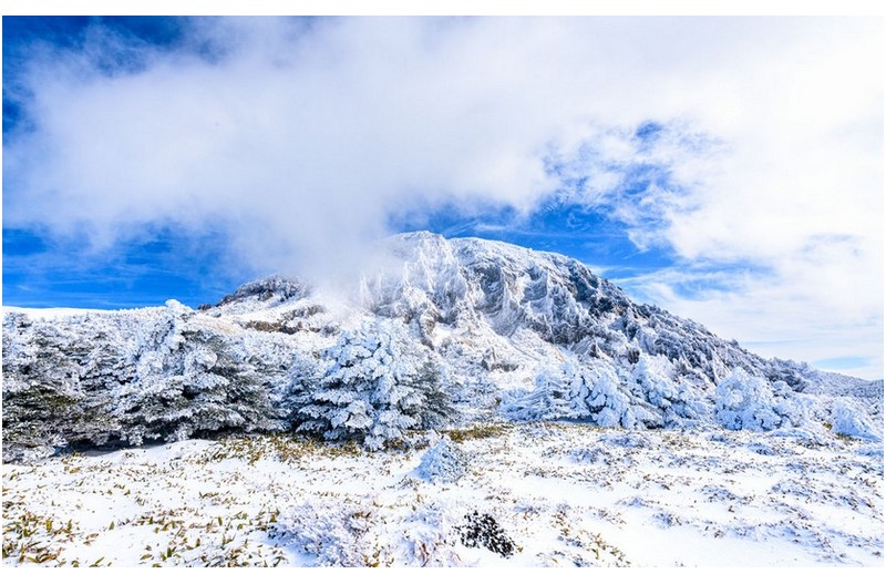 구름꽃  피우듯. .