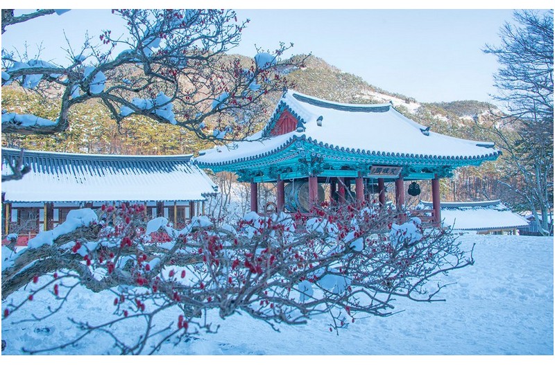 겨울 산사