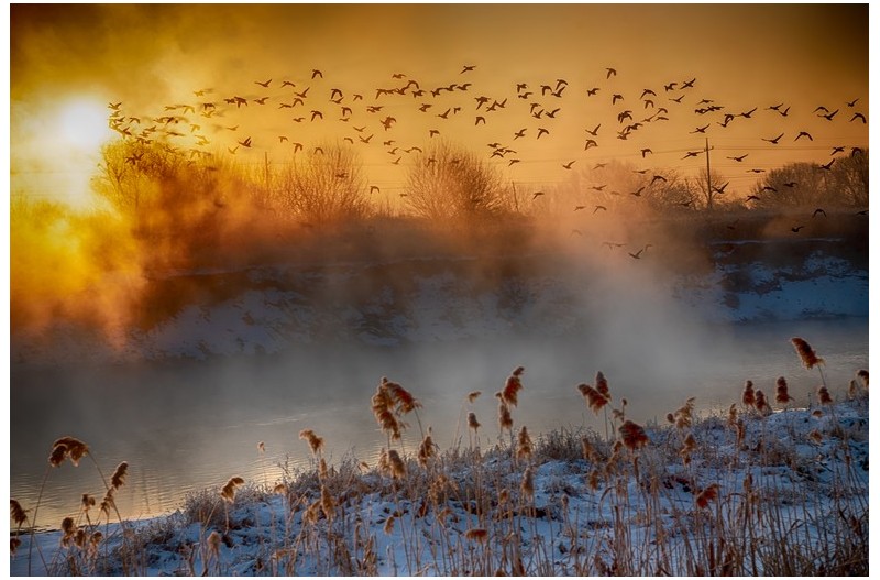 천변의 겨울 풍경