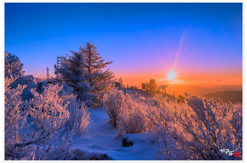 함백산의 겨울일출