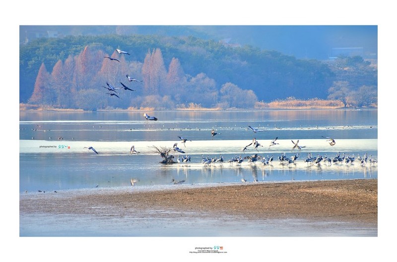 202201#[경남] 창원시 주남저수지
