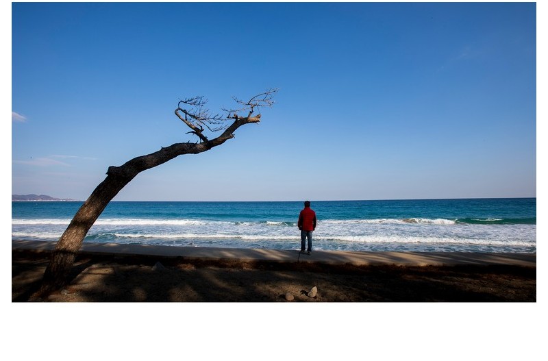 바다을 바라보며