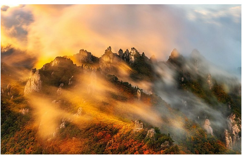 색동옷 입은 공룡