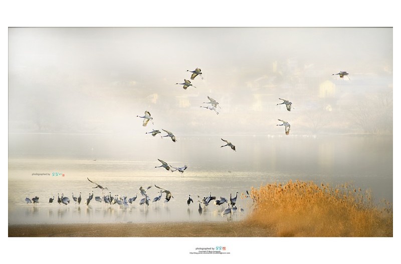 #20220127-아름다운비행