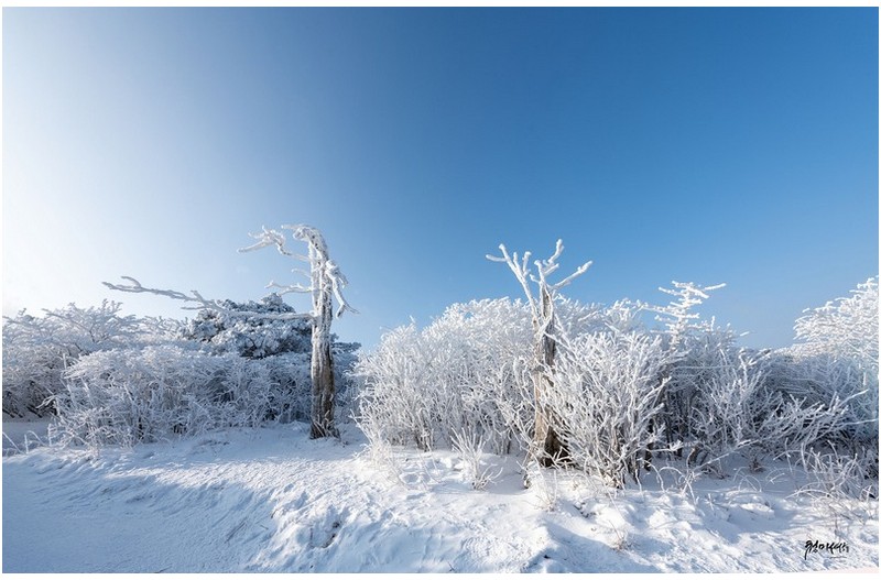 태백산 아침산책