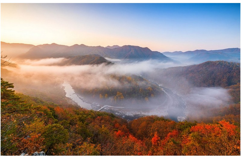가을이 머문 자리
