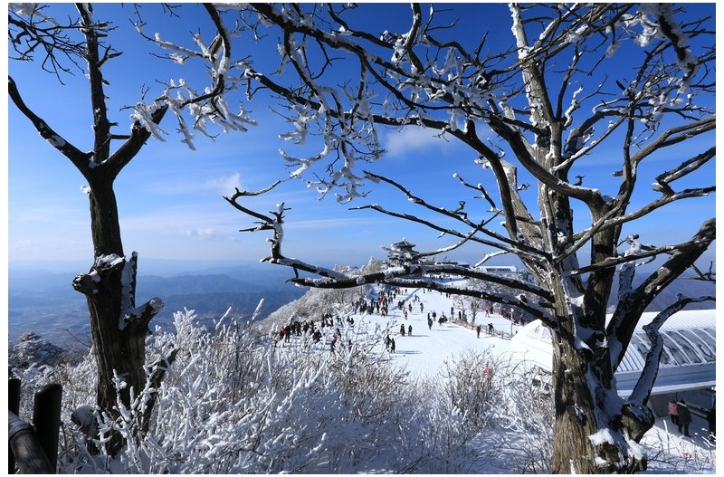 저는 올해 첫눈