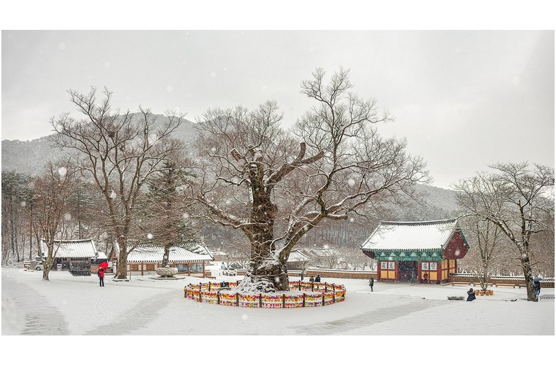 내소사 겨울