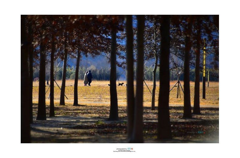 20220206 # 사랑이란...