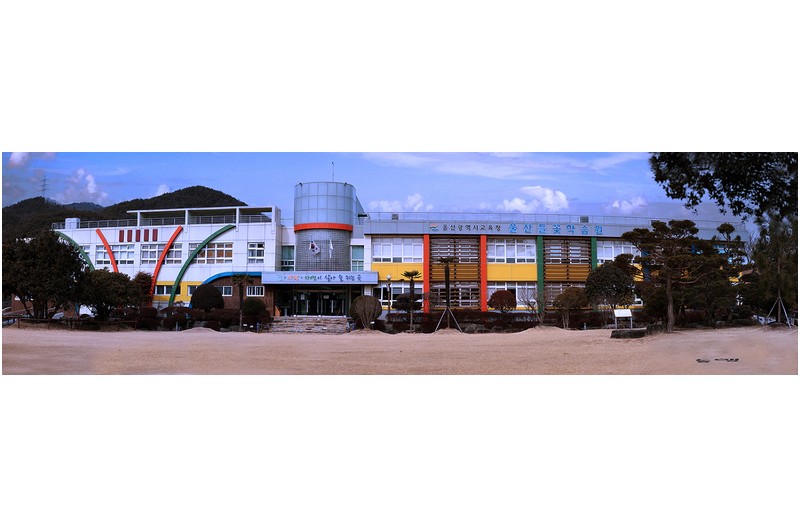 들꽃학습원   ..........................................