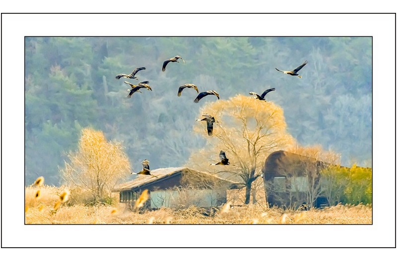 봄이오는 길목에서,,