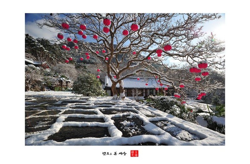 연등에 눈이내리던날