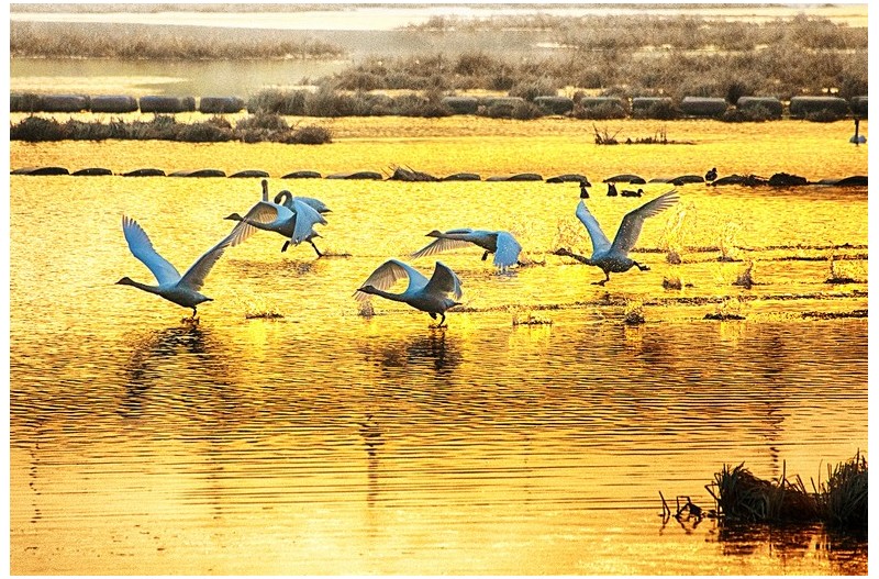 금빛 질주를 응원합니다