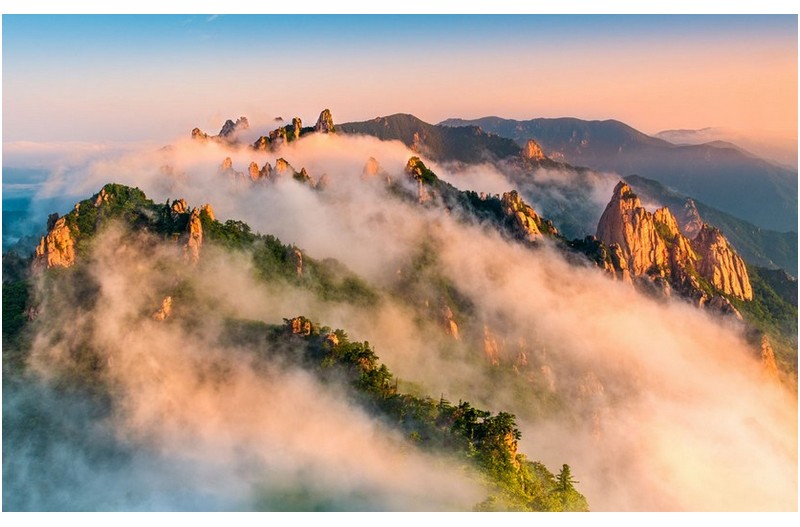 이빨을 드러낸 공룡