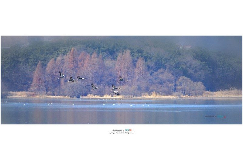 20220214#이별연습