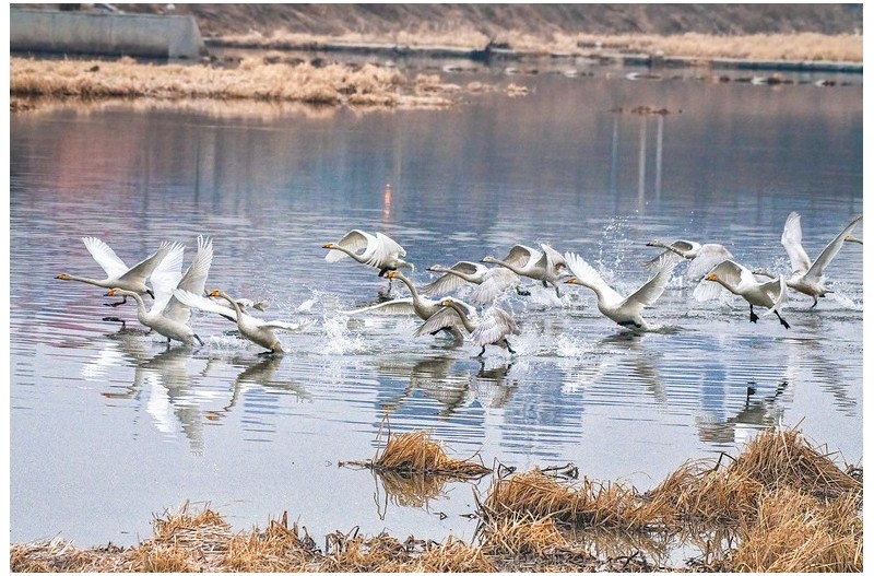 비상을 위한 도움닫기