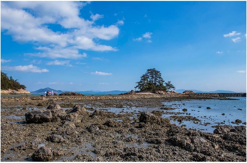 소등섬 당제지내는 날
