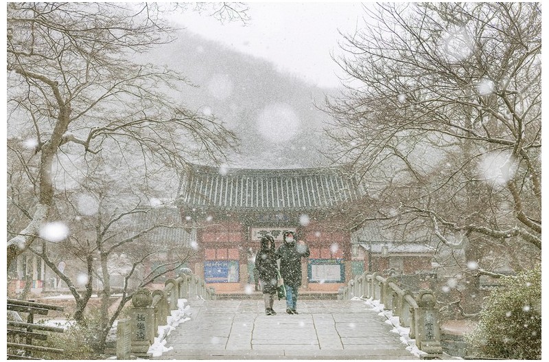 눈내리는 선운사