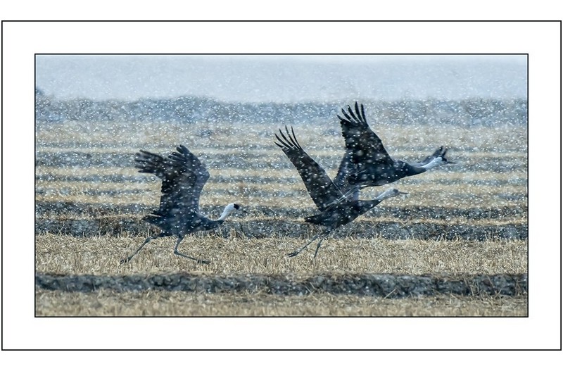 눈내리던날에,,,