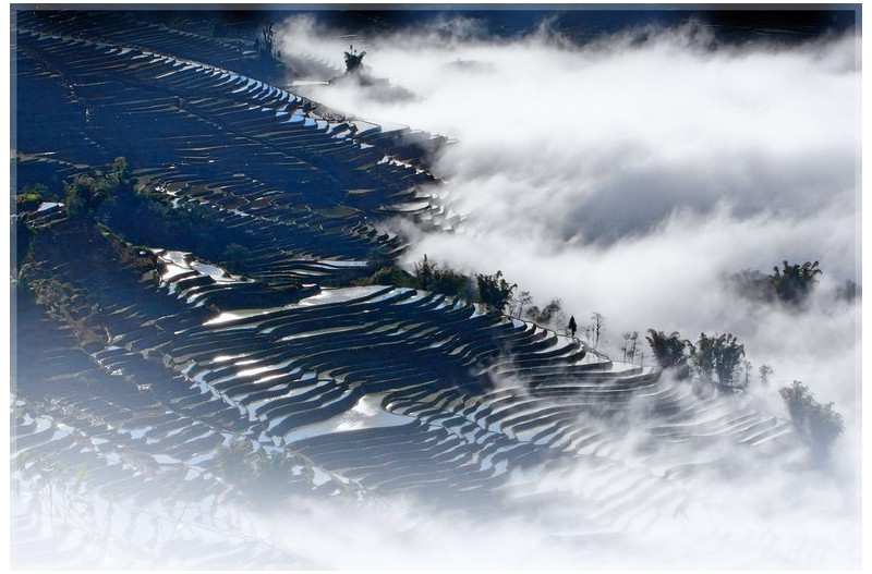 운무속 다랭이논