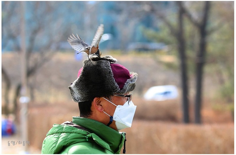 이양반이  파로호 선장  //