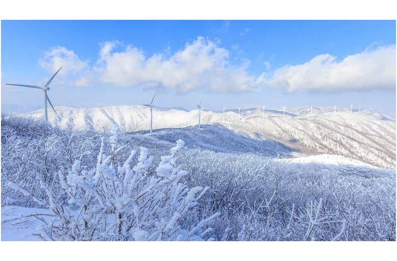 겨울왕국 태기산