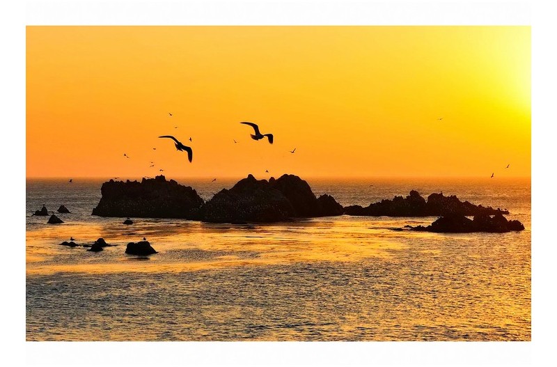 문무대왕 수중릉 아침풍경