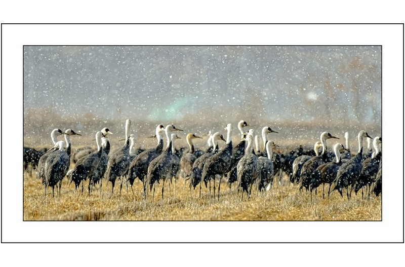 눈이오던날에,,,