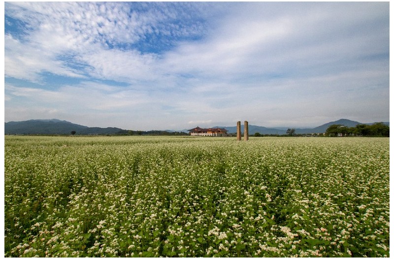 메밀꽃 필무렵 ...