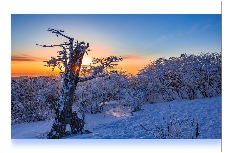 태백의 아침 빛