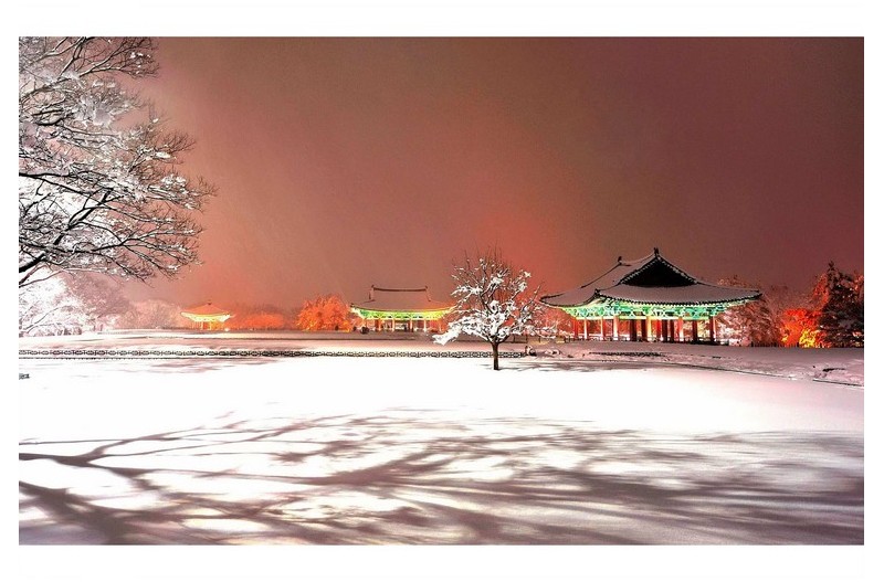 눈보라가 휘몰아치던 밤