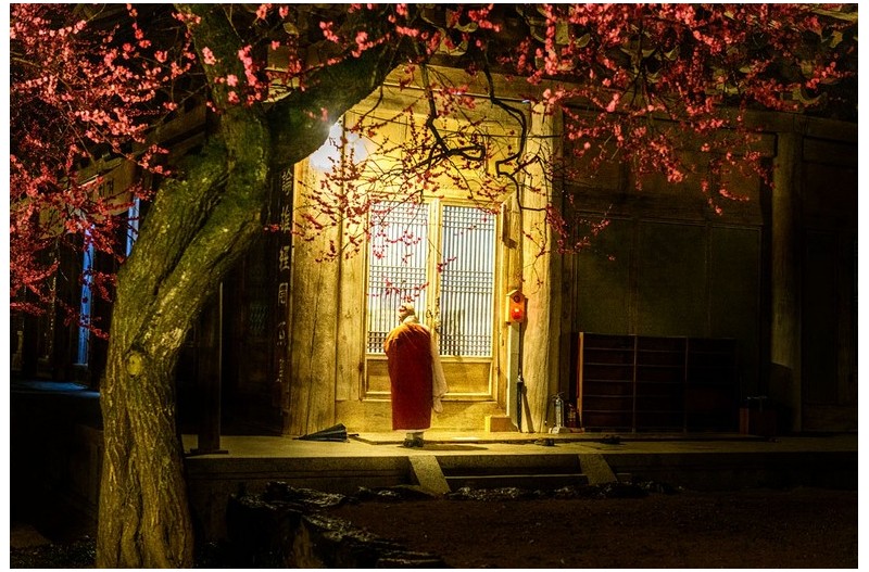 춘심(春心)을 내려놓고. . .