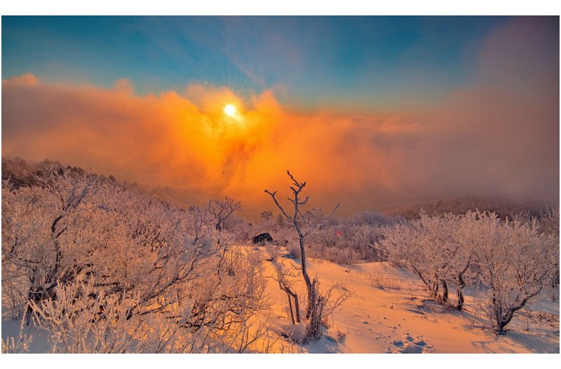 아쉬웠던 상고대